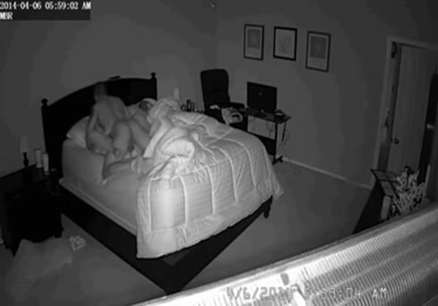 Jeune étalon jouant avec son sperme au ralenti.